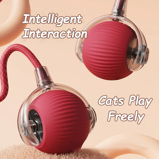 interactive-cat-toy-ball-automatic-motion-sensor-rolling-toy-luxury-view-2 | Majestic Pet Kingdom