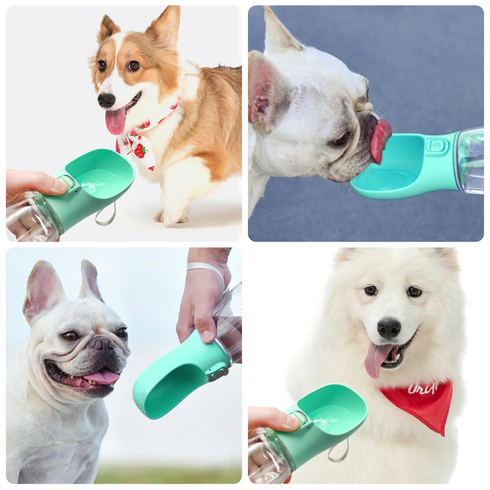 Luxury Pet Essentials - Purrfect Pet Kingdom™