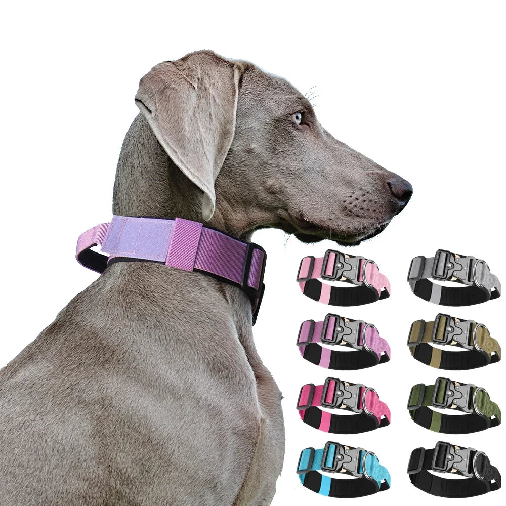 Tactical Dog Collar for Medium to Large Dogs 8 Colors Pet Collar | Majestic Pet Kingdom™