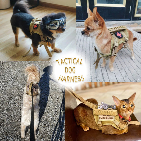 Tactical Puppy Harness Vest Adjustable Military Training Set - Detail Angle 2 | Majestic Pet Kingdom