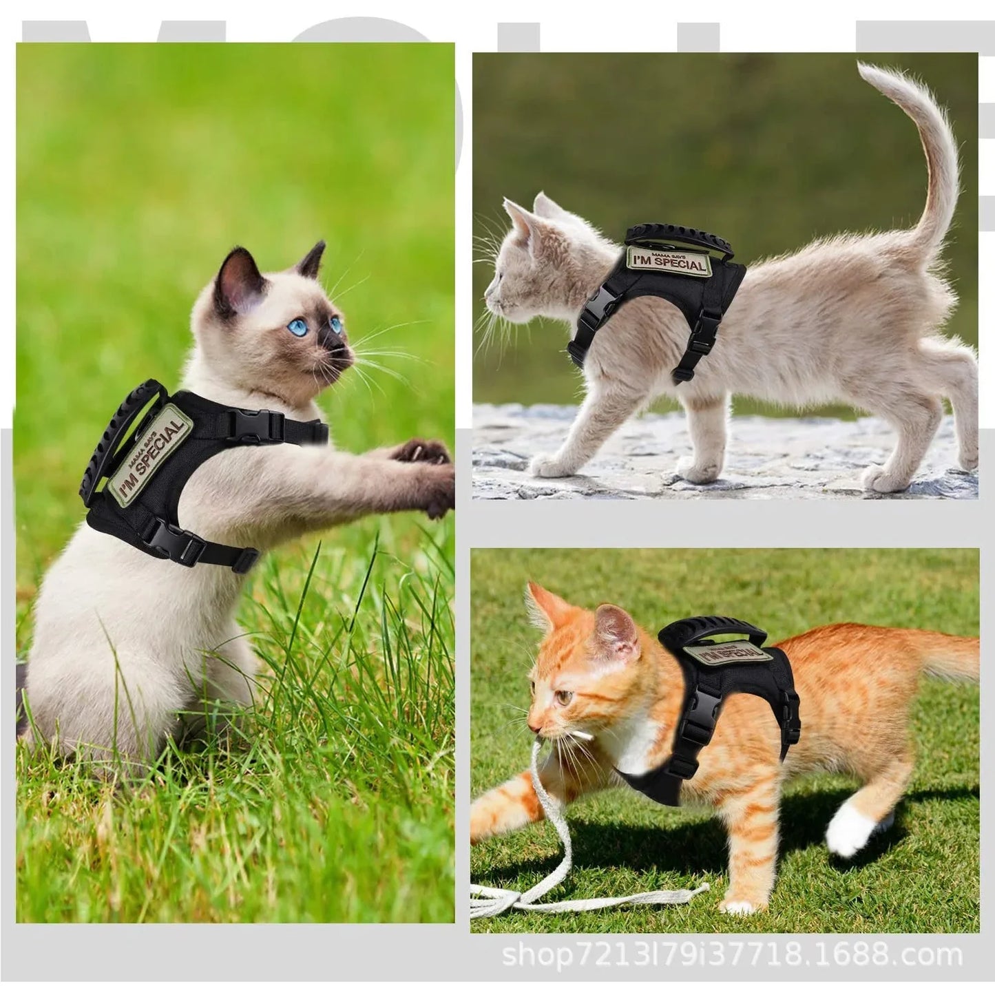 Tactical Military Vest Pet Tactical Training Cat Accessories Cat Dog Harness and Leash Set  Kitten Accessories - Black | Purrfect Pet Kingdom