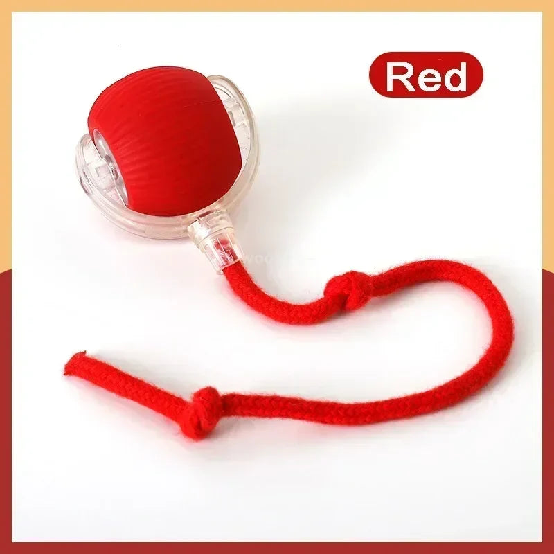 NewSpeedy Tail 2.0 Cat Toy, Speedy Tail Cat Toy, Interactive Cat Ball Toy, Smart Cat Toys Ball, Two Speed Adjustment, with Tail - Majestic Pet Kingdom