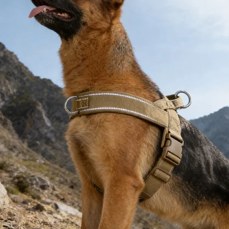 Tactical No-Pull Dog Harness for Large Breed: Heavy-Duty Vest with | Majestic Pet Kingdom™