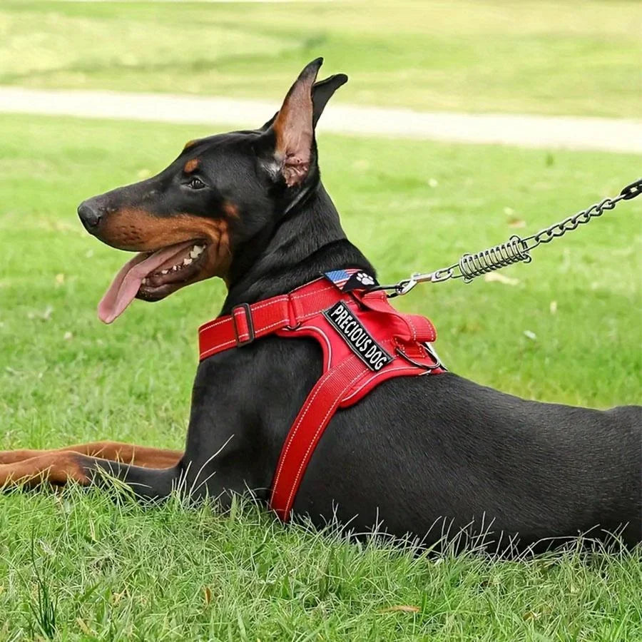 Service Dog Harness & Leash Set with 1pc Folding Bowl Reflective Adjustable Dog Vest Harness Soft Oxford Pet Harness For Small M - Majestic Pet Kingdom