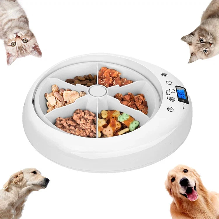 Pet adjustment Intelligent Led electric food dispenser Dog feeder 6 meals Cat automatic timing pet feeder - Majestic Pet Kingdom