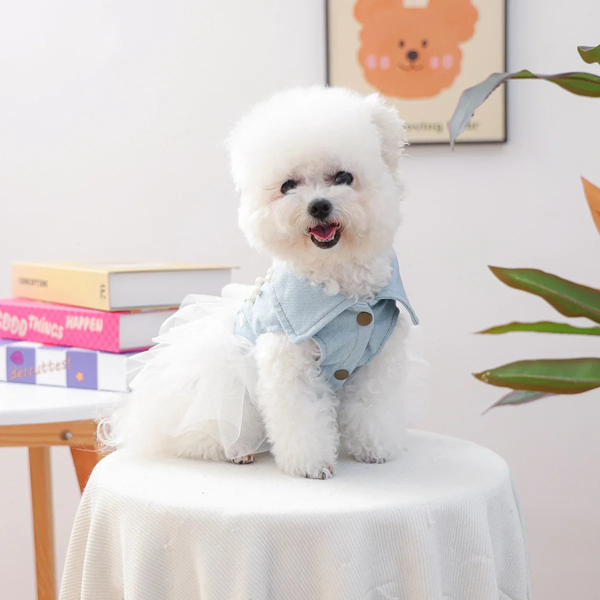 Bride Apparel For Dogs Autumn Denim Coat With Tutu Skirt Pet Dresses For Small Puppy Animal Cat Dachshund Suit Chihuahua Clothes - White | Purrfect Pet Kingdom