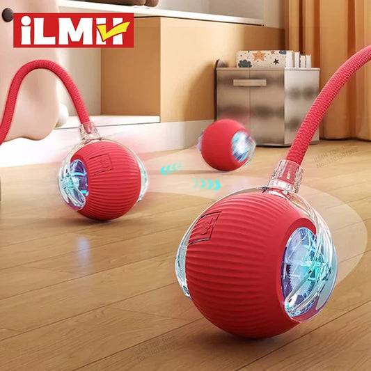 smart-cat-toy-ball-automatic-obstacle-avoidance-rolling-toy-luxury-view-1 | Majestic Pet Kingdom