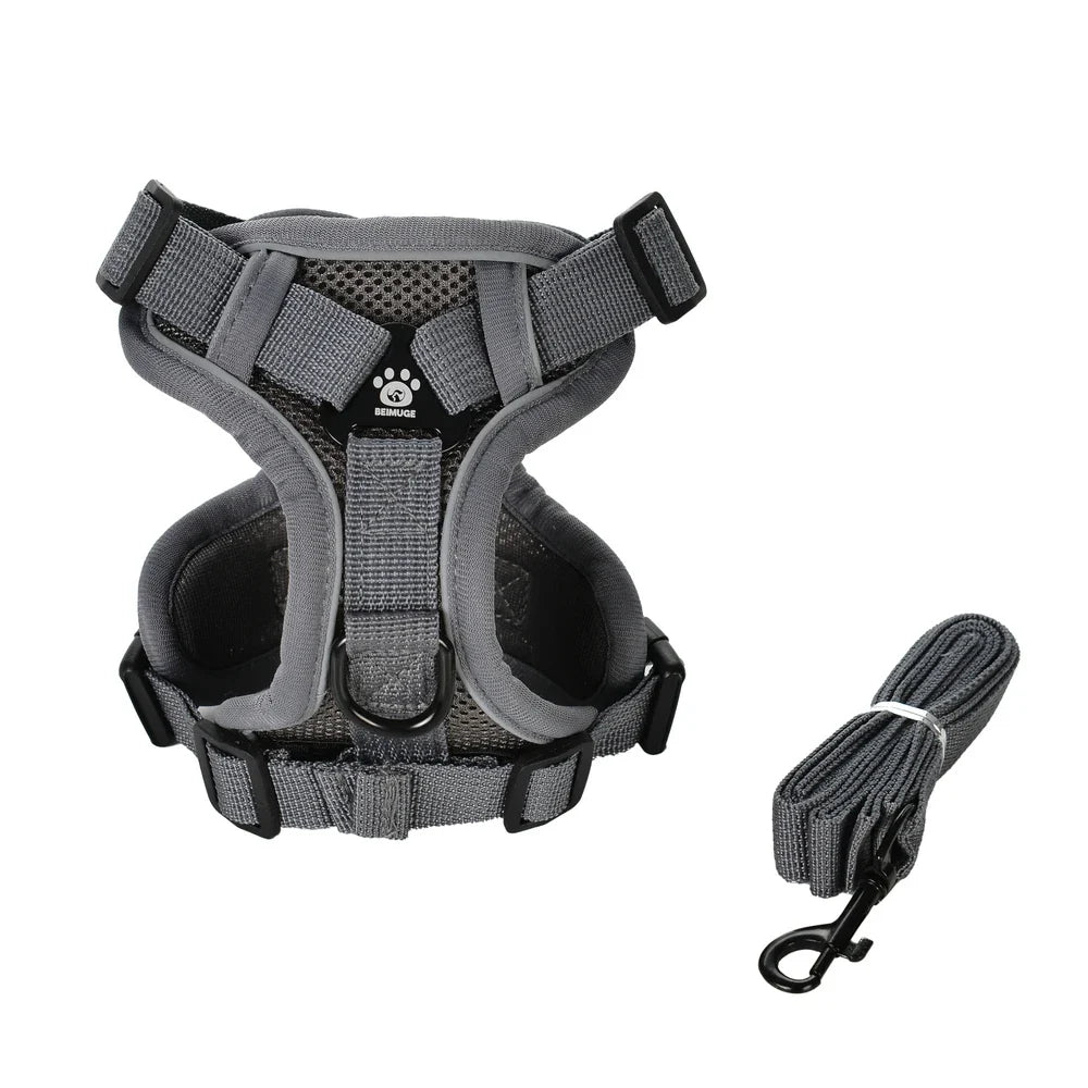 Pet Dog Leash Harness Tactical Training Puppy Vest Harnesses For Small Medium Dogs Cats Reflective Pug Chest Strap Accessories - Gray | Purrfect Pet Kingdom