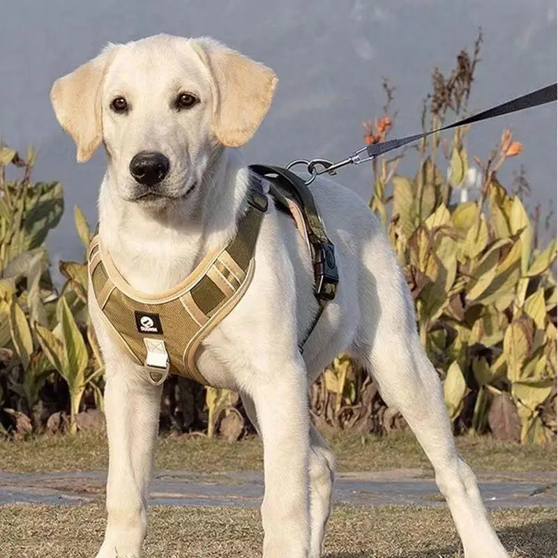 Dog Harness Reflective Midium Large Dogs Tactical Vest Adjustable | Majestic Pet Kingdom™