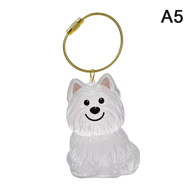 Clear Pet Hair Memorial Keepsake Capsule | Dog Fur Container Keychain