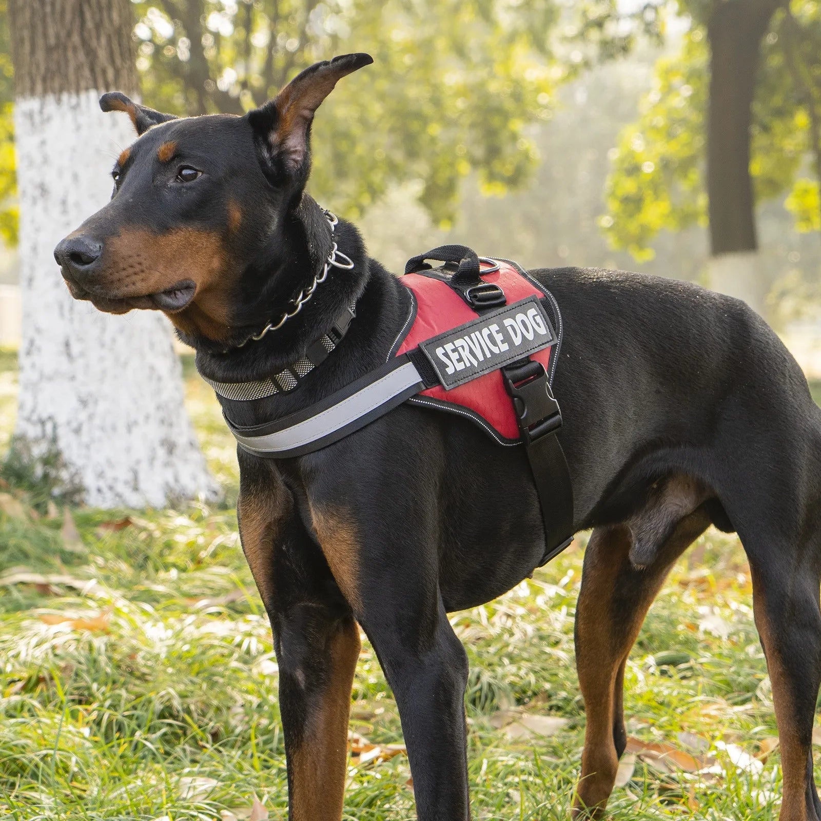 Chest Strap Dog Vest Harness Medium and Large Dog Border Collie Golden Hair Bucket Explosion proof Flushing Dog Harness - Majestic Pet Kingdom