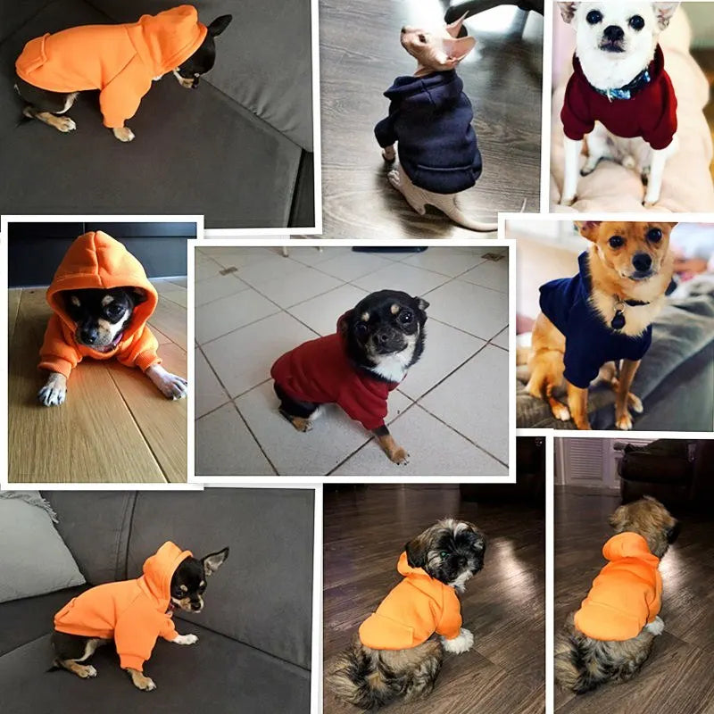 Pet Dog Clothes For Small Dogs Clothing Warm Clothing for Dogs Coat Puppy Outfit Pet Clothes for Large Dog Hoodies Chihuahua 45 - Majestic Pet Kingdom