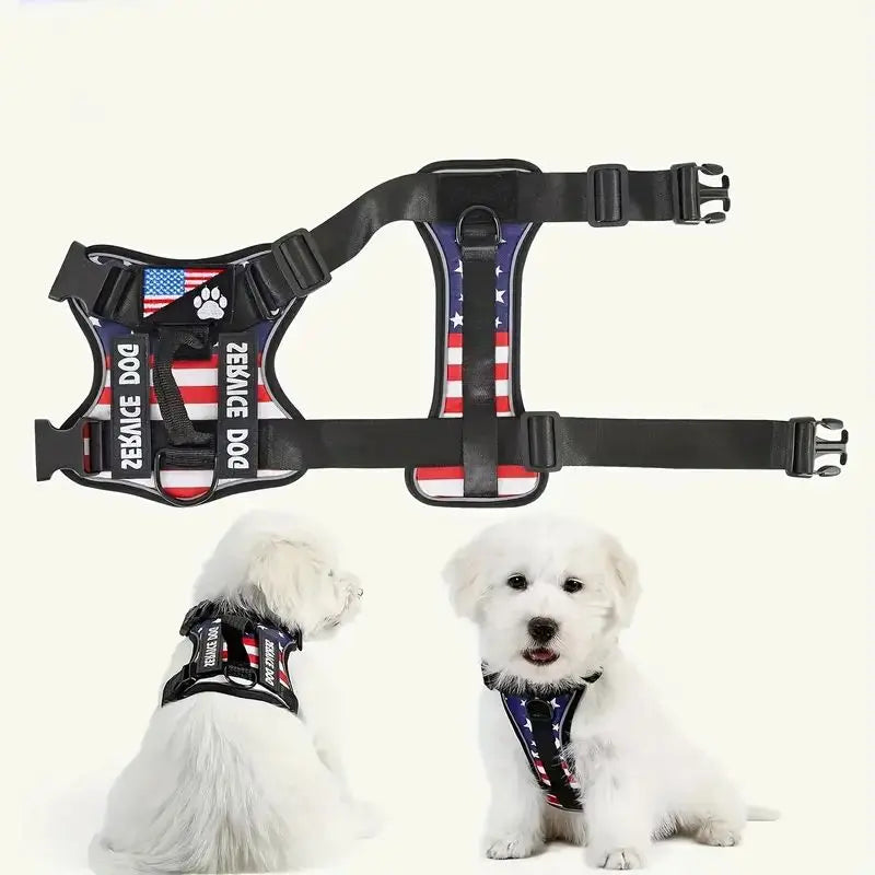 Dog Harness And Leash Set, Escape Proof No Pull Dog Vest Harness With Reflective Dog Walking Traction Rope - Majestic Pet Kingdom