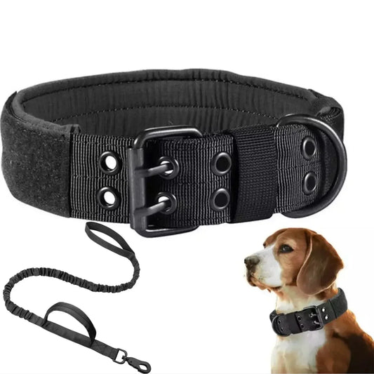 Adjustable Pet Tactical Dog Collar Durable Double Buckle German | Majestic Pet Kingdom™
