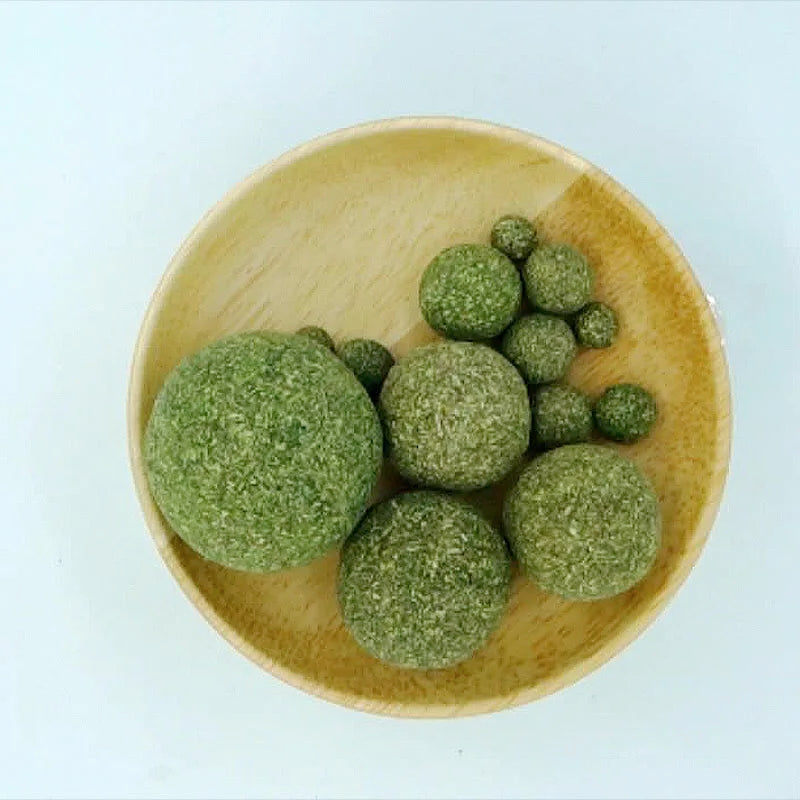 Mint Toys Edible Catnip Ball Safety Healthy Cat Catnip Cats Home Chasing Game Toy Products Clean Teeth The Stomach - Majestic Pet Kingdom