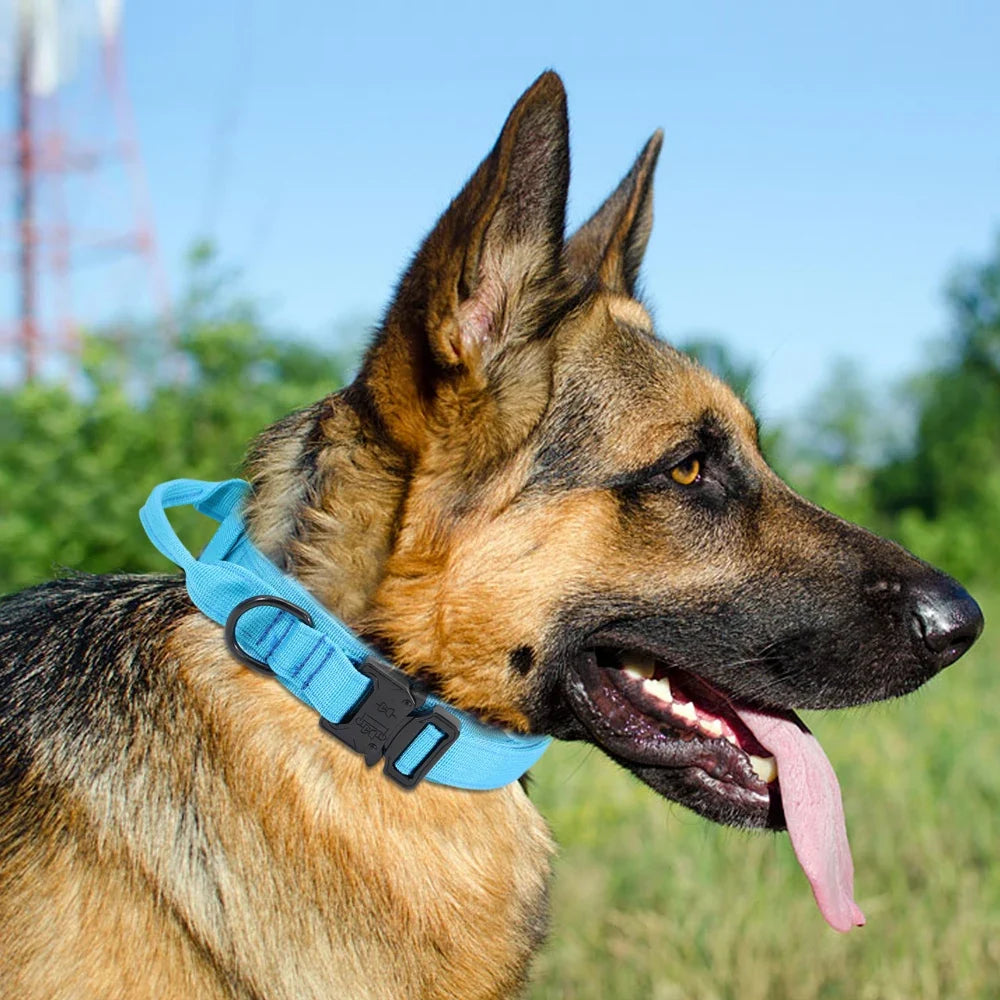 Military Tactical Dog Collar Nylon Dogs Collars Durable Pet Training Necklace Adjustable For Medium Large Dogs French Bulldog - Khaki | Purrfect Pet Kingdom