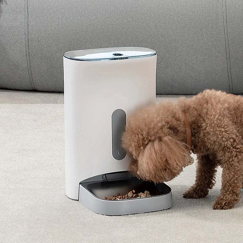 Automatic dog food dispenser with insect-proof seal and timed feeding; 4 meals/10-cup pet food dispenser - Majestic Pet Kingdom
