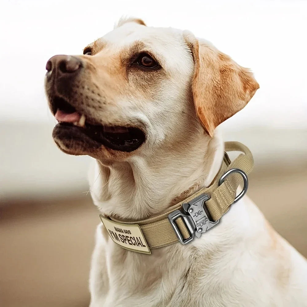 Heavy Duty Tactical Dog Collars with Handle Military Collar with Patch Outdoor Training and Walking for Medium and Large Dogs | Purrfect Pet Kingdom