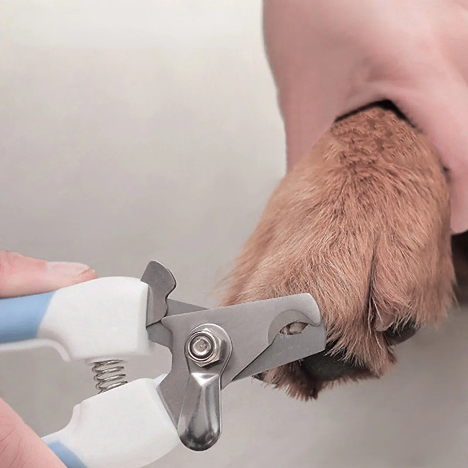 Dog Nail Clippers Professional Stainless Steel Safety Trimmer - Detail Angle 3 | Majestic Pet Kingdom