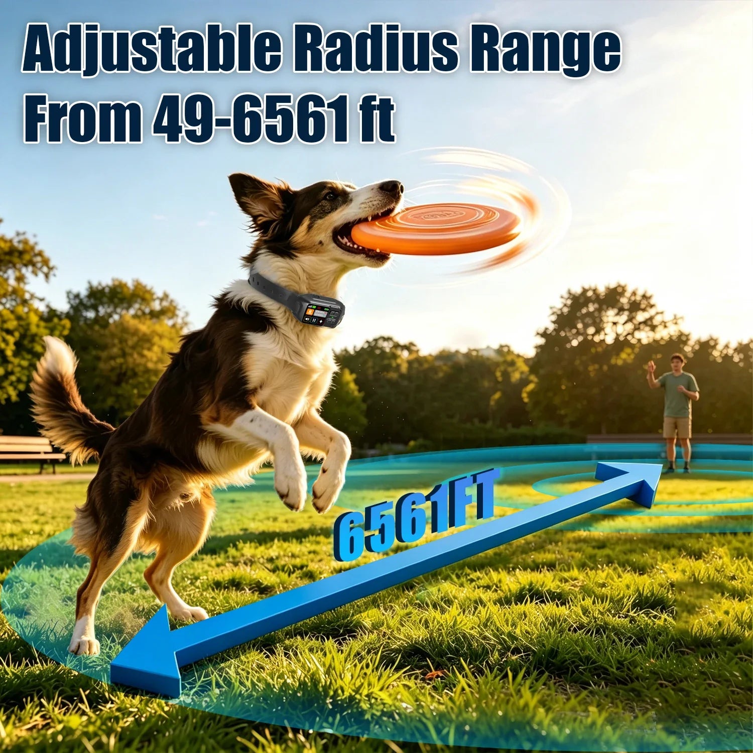 GPS Dog Fence Wireless Satellite Tech System Custom Region