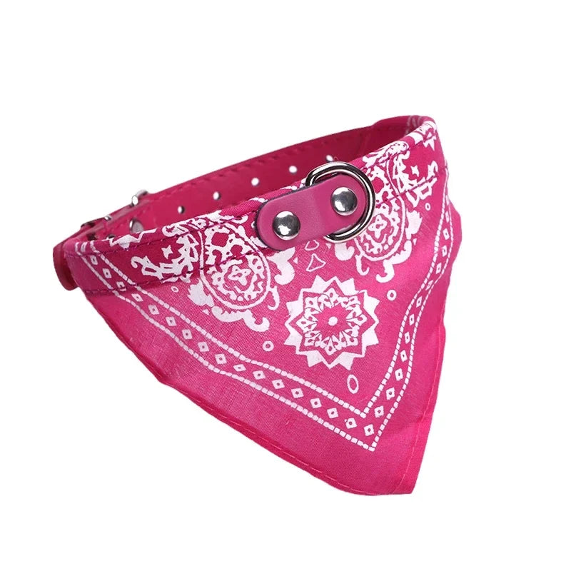 Majestic Pet Kingdom - Adjustable PU Dog Cat Collar with Detachable Scarf | Pet Accessories for Small Medium Dogs and Cats View 9