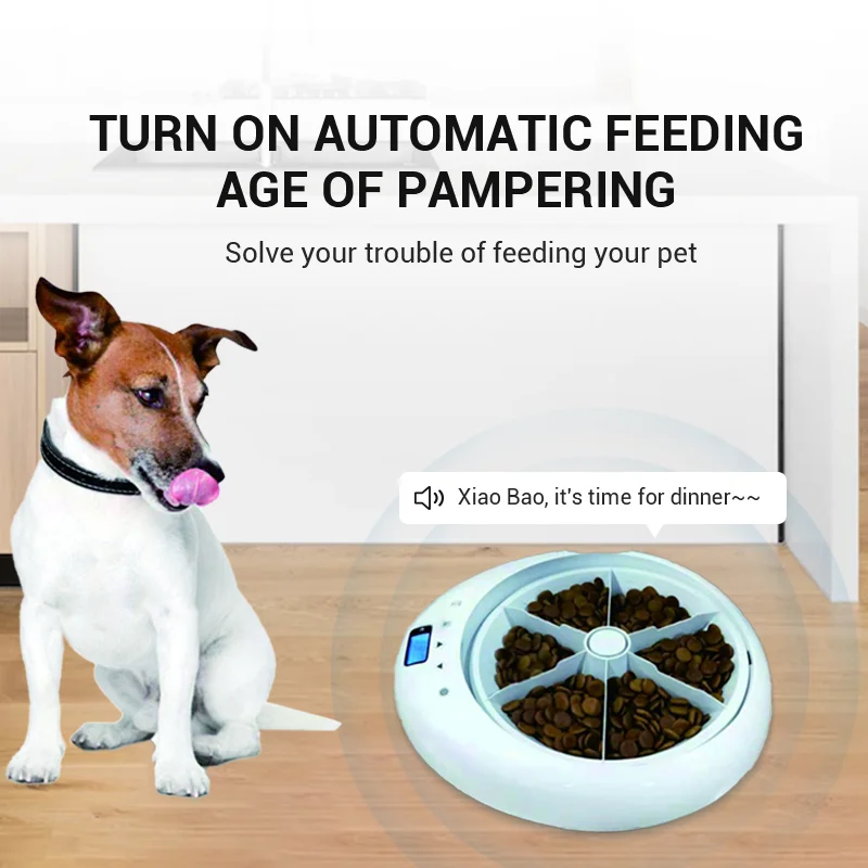 Pet adjustment Intelligent Led electric food dispenser Dog feeder 6 meals Cat automatic timing pet feeder - Majestic Pet Kingdom