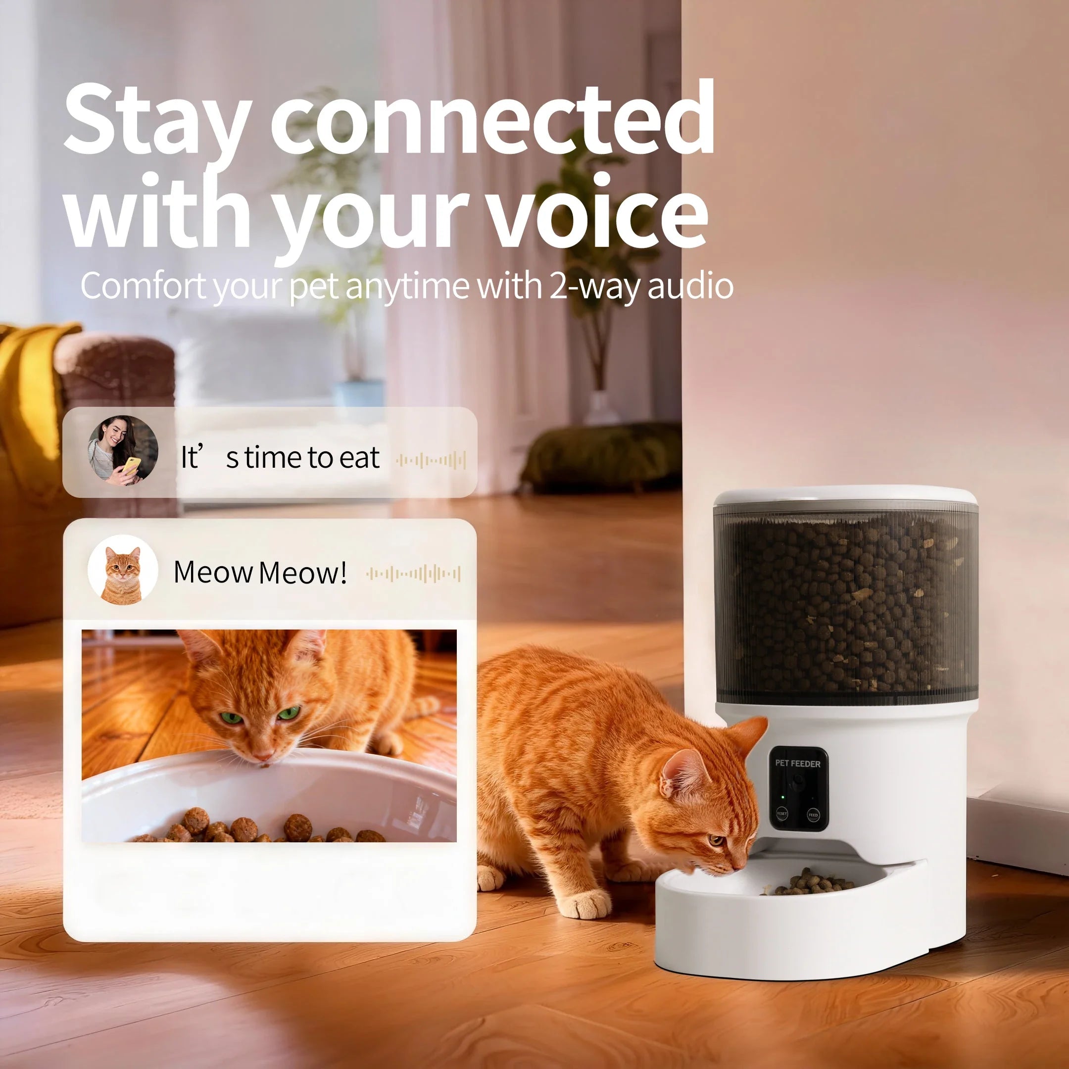 Smart Pet Feeder 4L Automatic Cat Dog Food Dispenser Bowl - Majestic Pet Kingdom