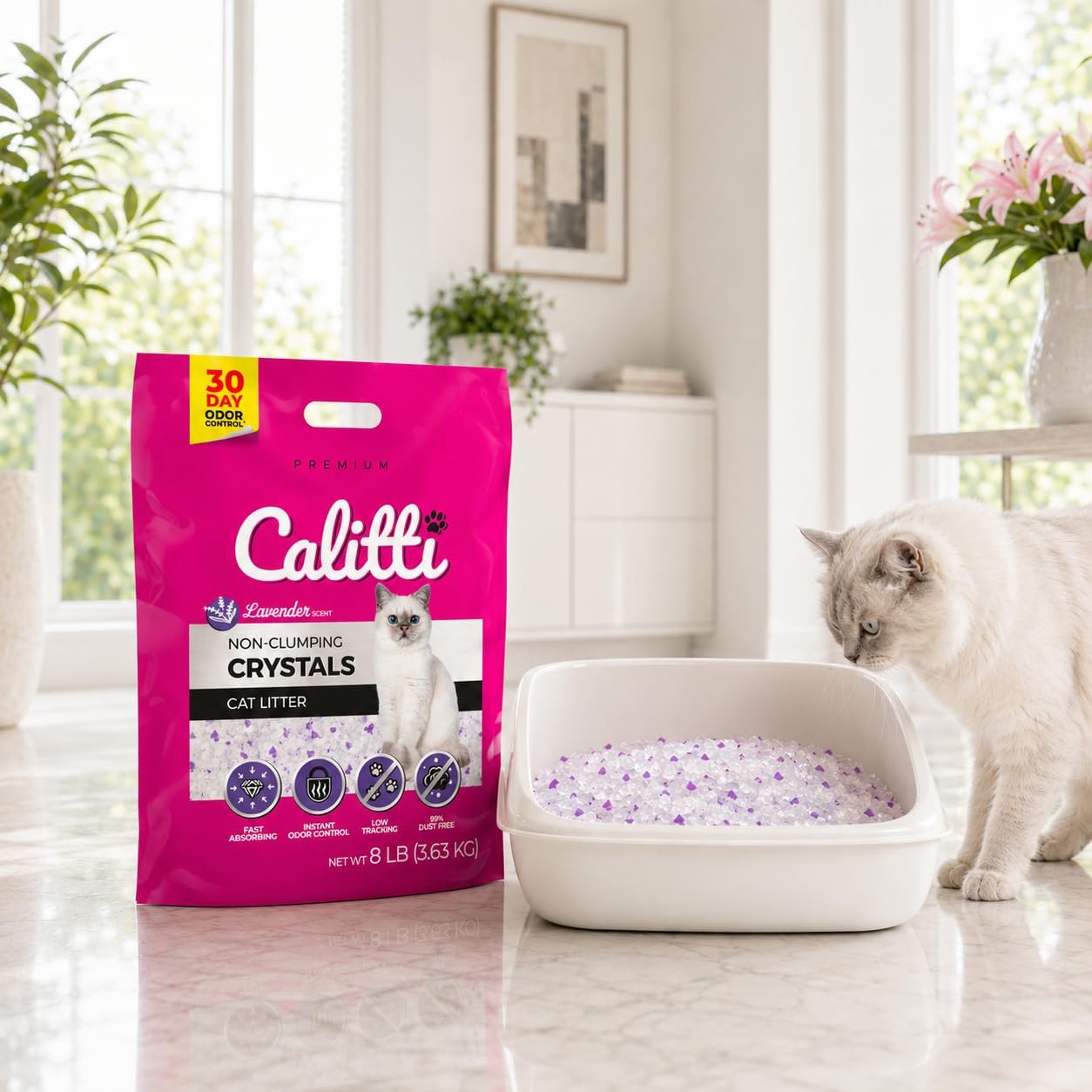 Luxury Pet Essentials - Purrfect Pet Kingdom™