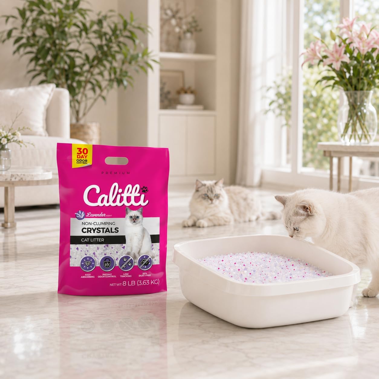 Luxury Pet Essentials - Purrfect Pet Kingdom™