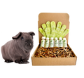 Sensitive Skin Grooming Kit for Hairless Guinea Pigs & Pets