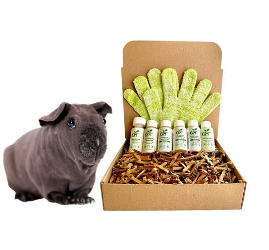 Sensitive Skin Grooming Kit for Hairless Guinea Pigs & Pets