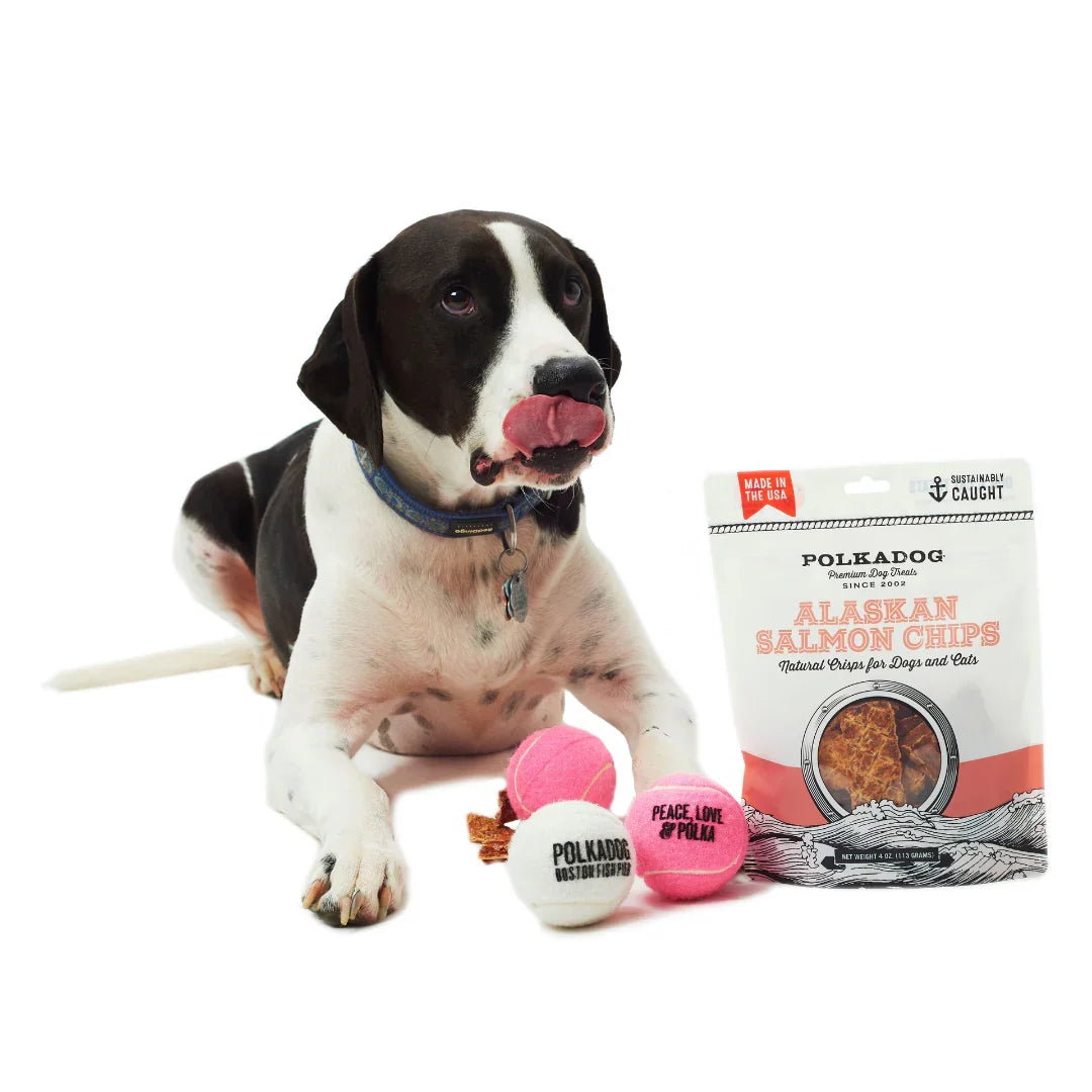 Dog Treats Polkadog Alaskan Salmon Chips Single-Ingredient 4oz - Detail Angle 2 | Majestic Pet Kingdom