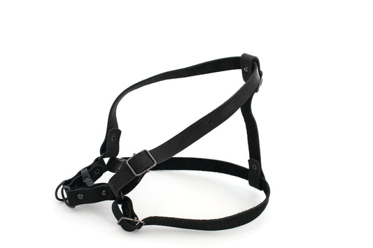 Premium Pet Product Premium Quality Product Essential Pet Su