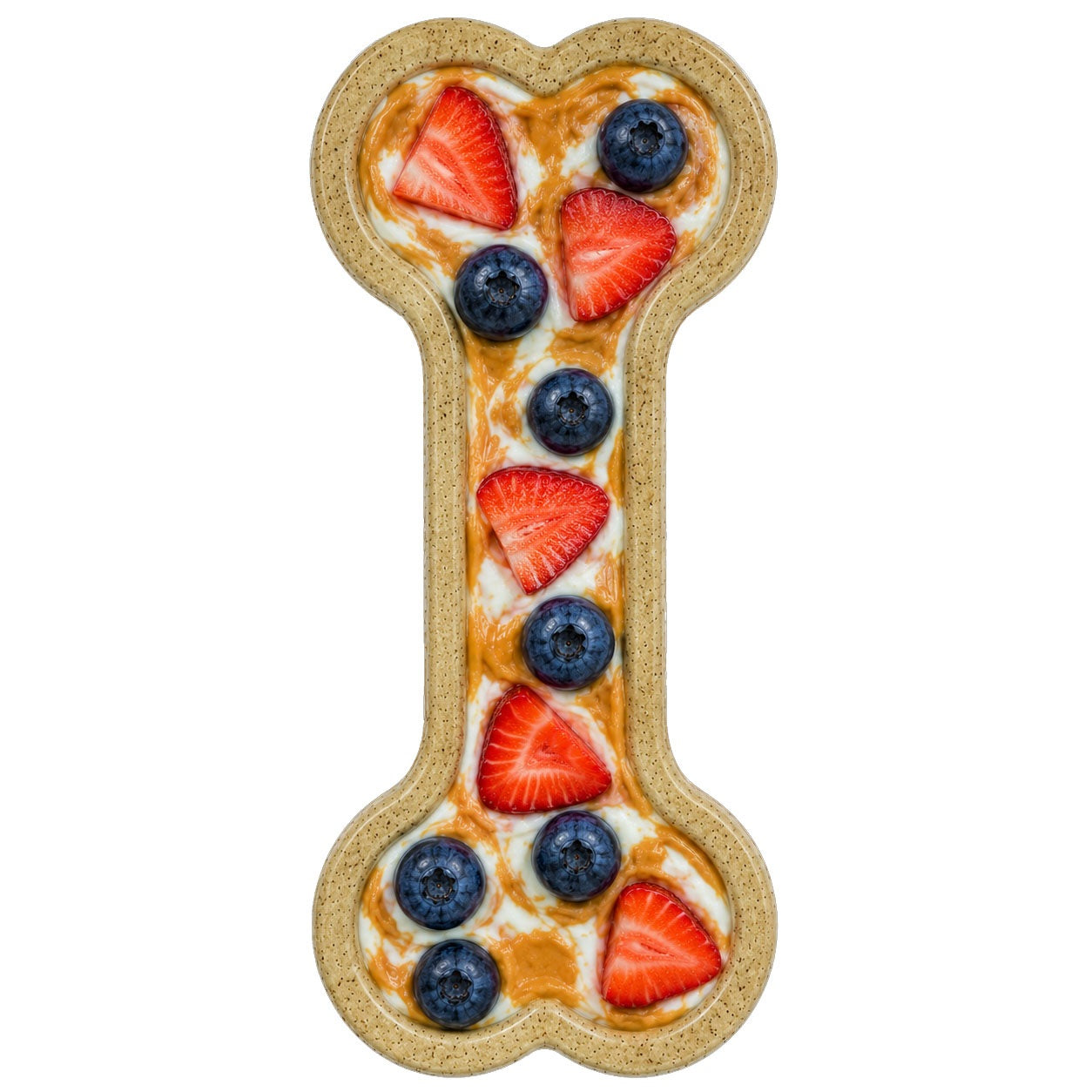 Dog Chew Toy Bone eChew Ultra Durable Nylon Power Chewers