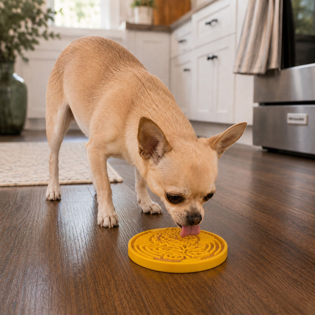 Pet Supply Product | The Finest Market