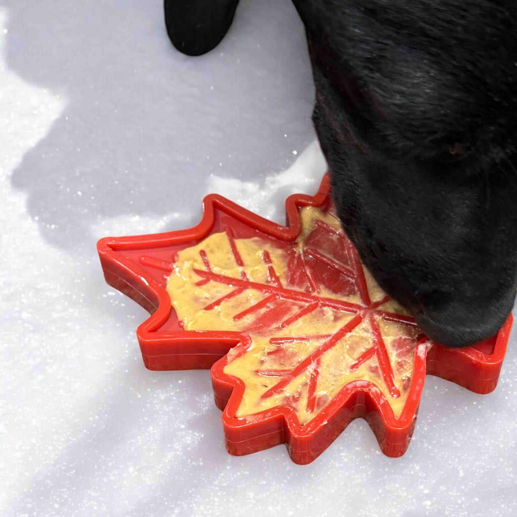 Pet Supply Product | The Finest Market