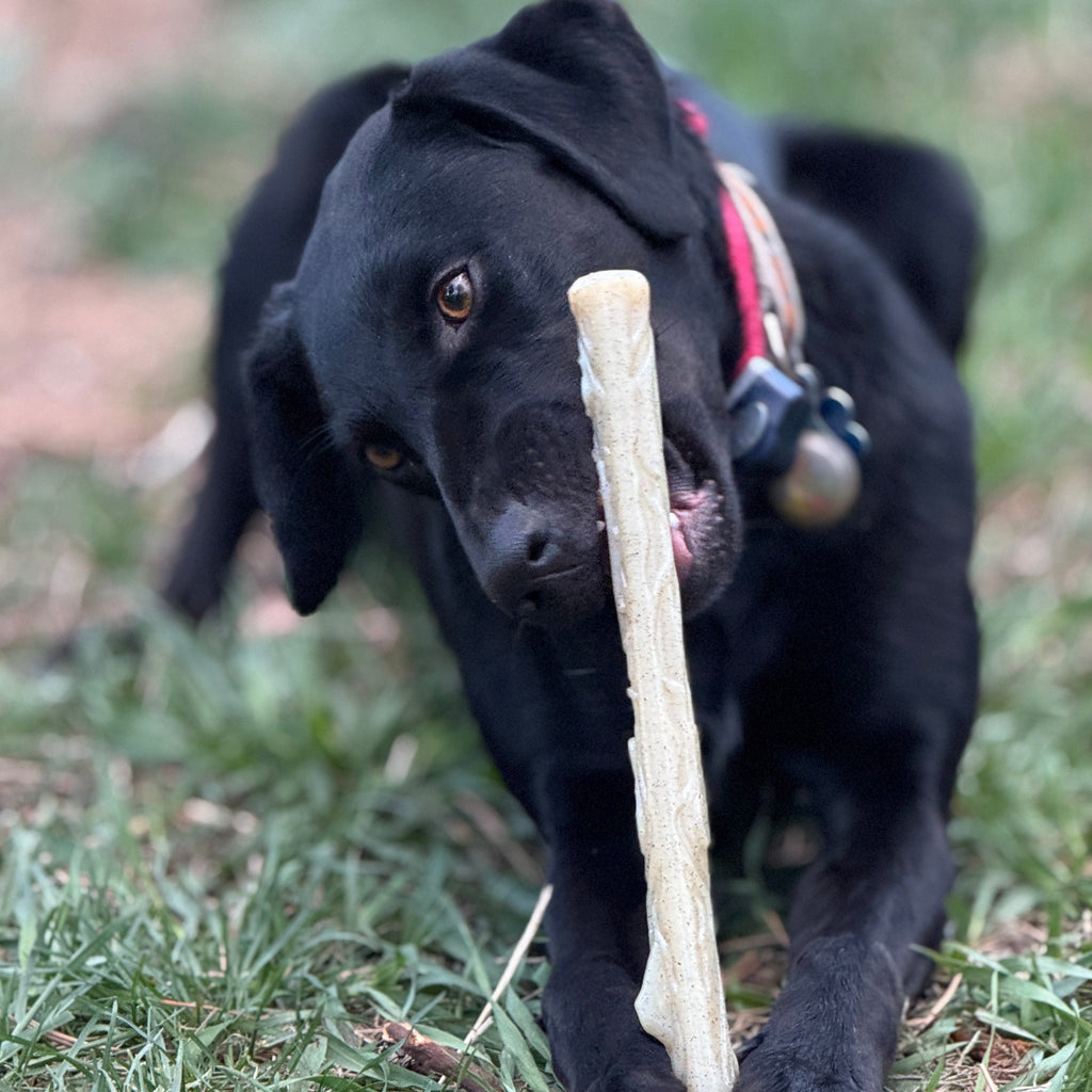 Pet Supply Product | The Finest Market