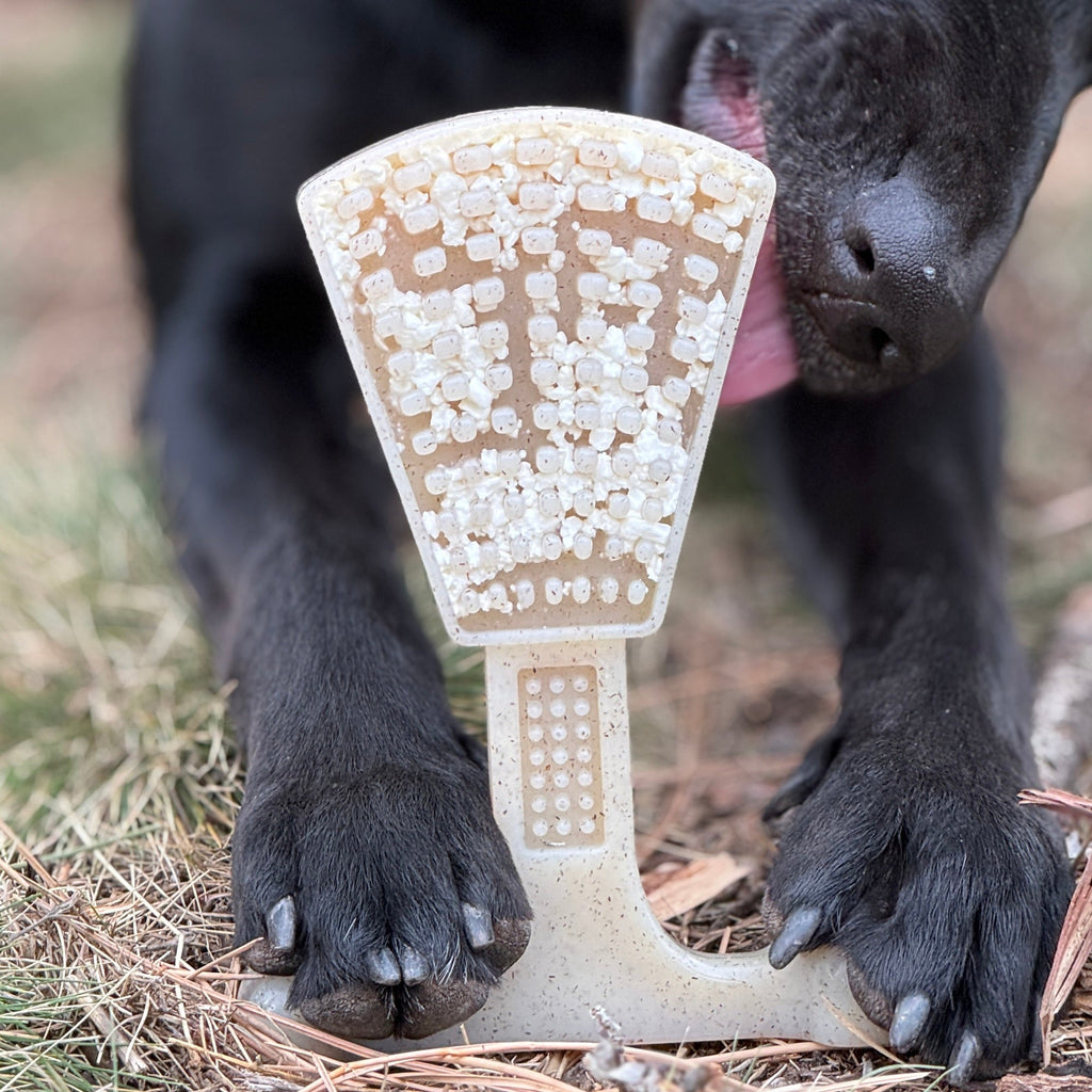 Pet Supply Product | The Finest Market