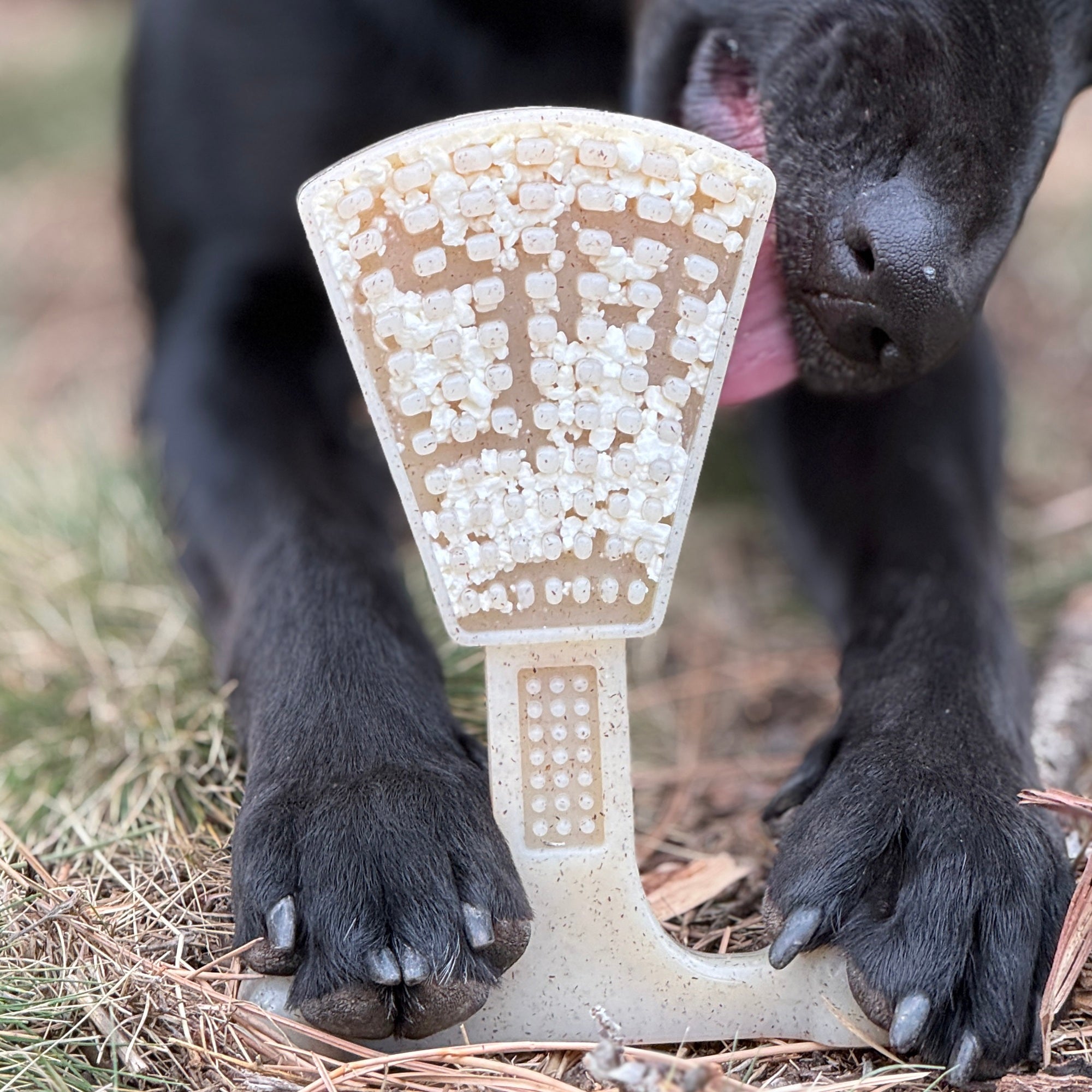 Pet Supply Product | The Finest Market