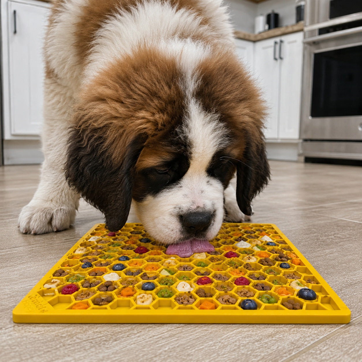 Pet Supply Product | The Finest Market