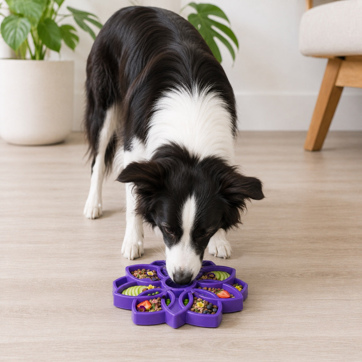 Mandala eTray Shallow Slow Feeder Dog Bowl for Enrichment | - Majestic Pet Kingdom