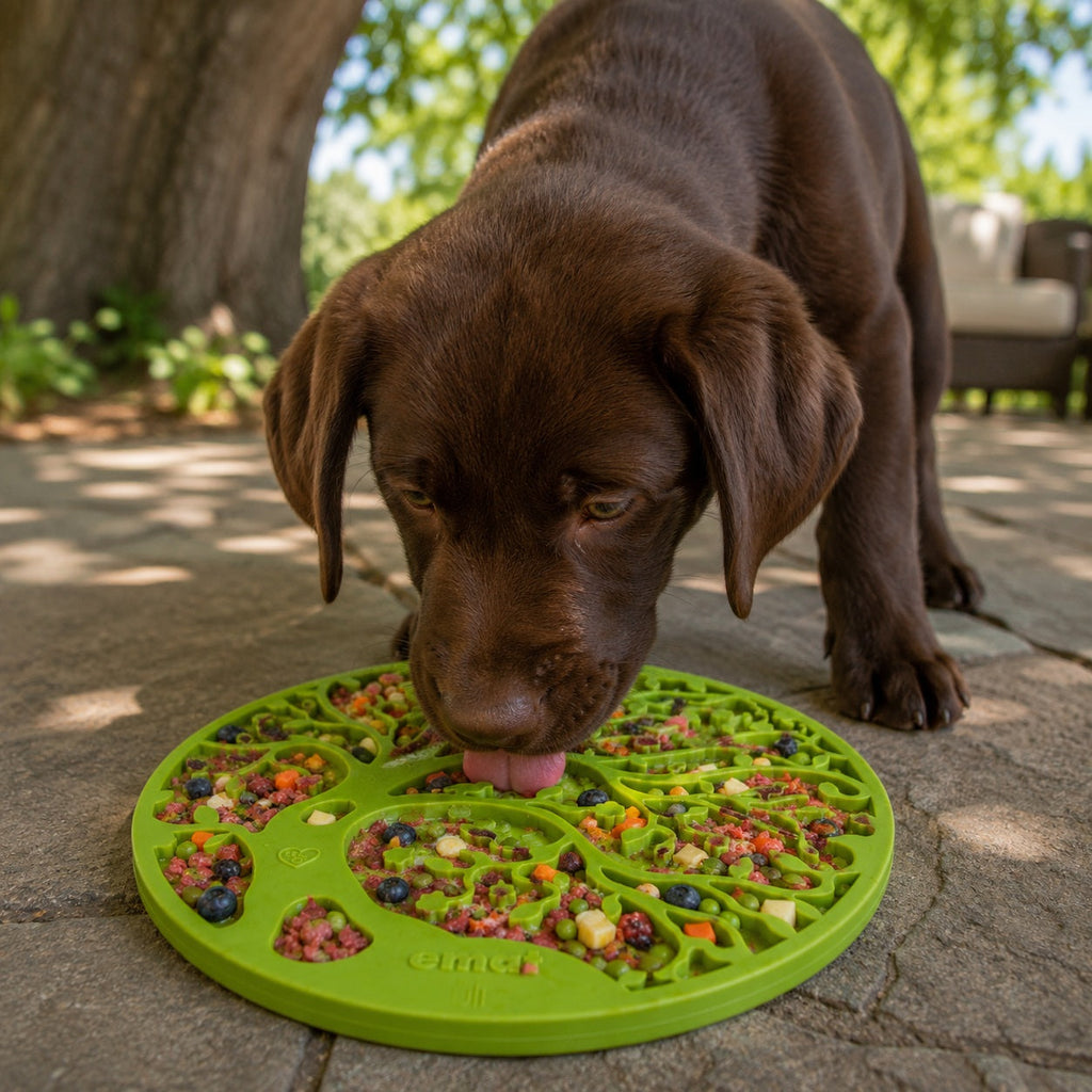 Tree of Life eMat - Enrichment Lick Mat For Dogs and Cats - - Majestic Pet Kingdom