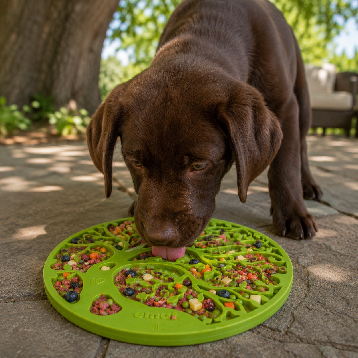Tree of Life eMat - Enrichment Lick Mat For Dogs and Cats - - Majestic Pet Kingdom