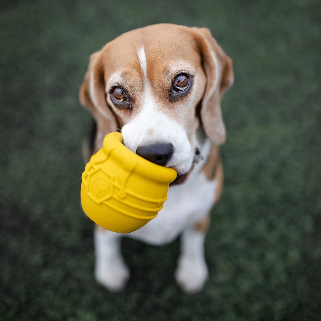 Pet Supply Product | The Finest Market
