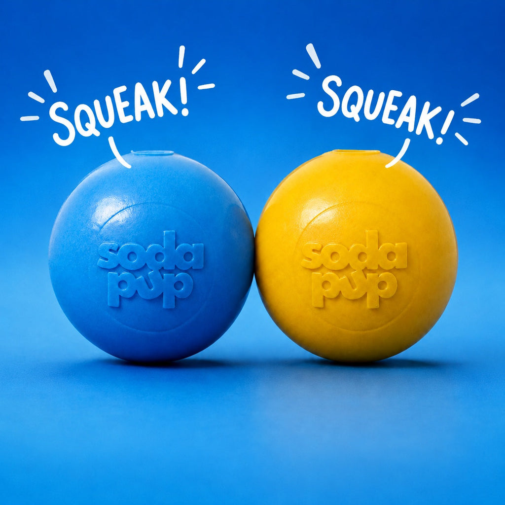 Squeak Ball - Durable Squeaky Dog Toy, Floats, Chew Toy |