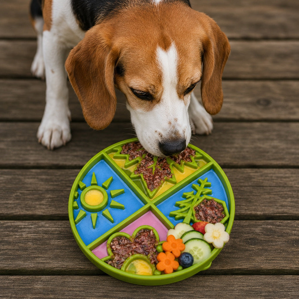 Pet Supply Product | The Finest Market