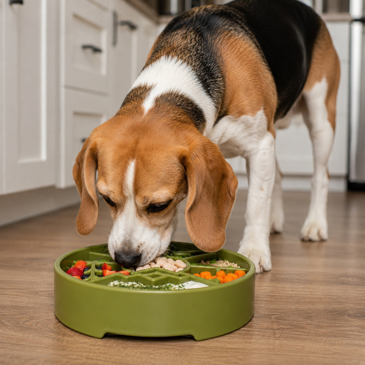 Pet Supply Product | The Finest Market