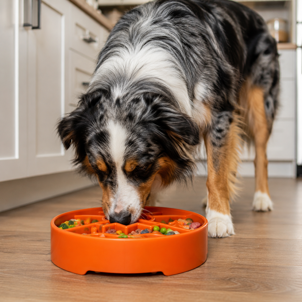 Pet Supply Product | The Finest Market