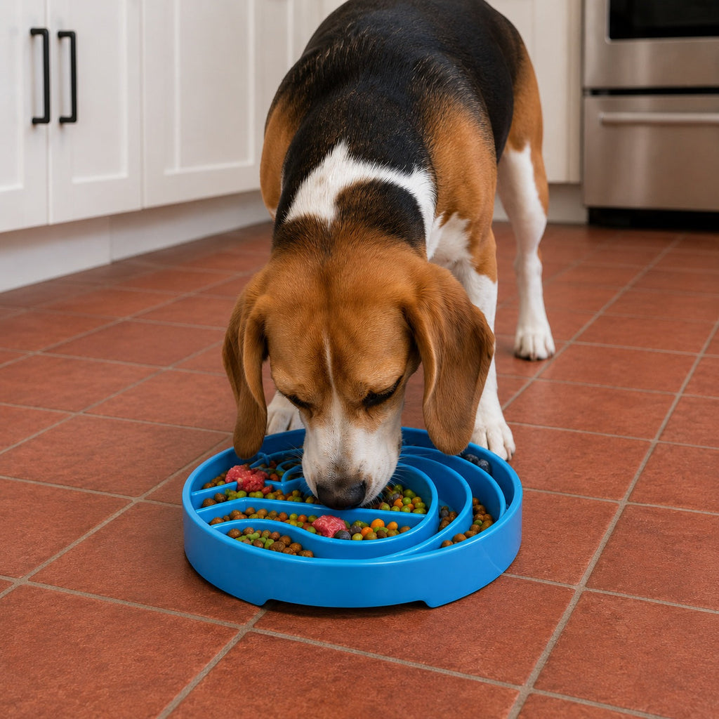 Pet Supply Product | The Finest Market