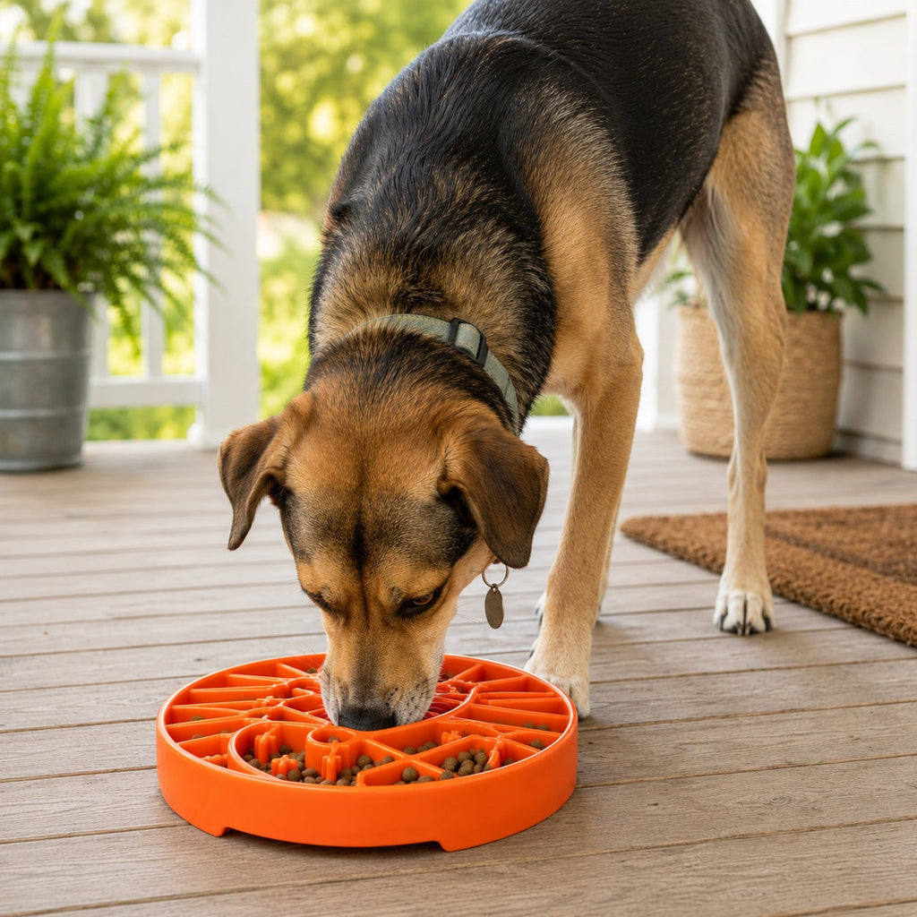 Pet Supply Product | The Finest Market